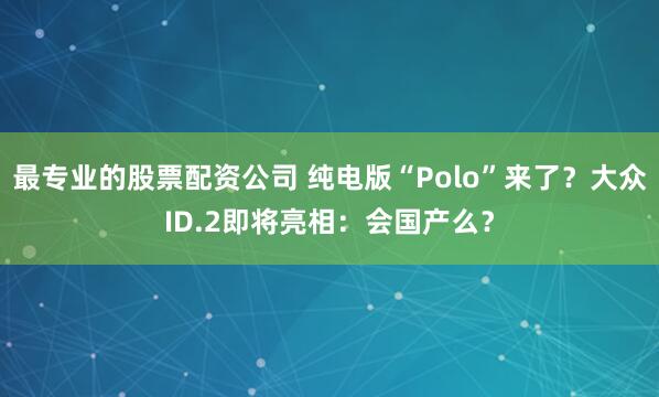 最专业的股票配资公司 纯电版“Polo”来了？大众ID.2即将亮相：会国产么？